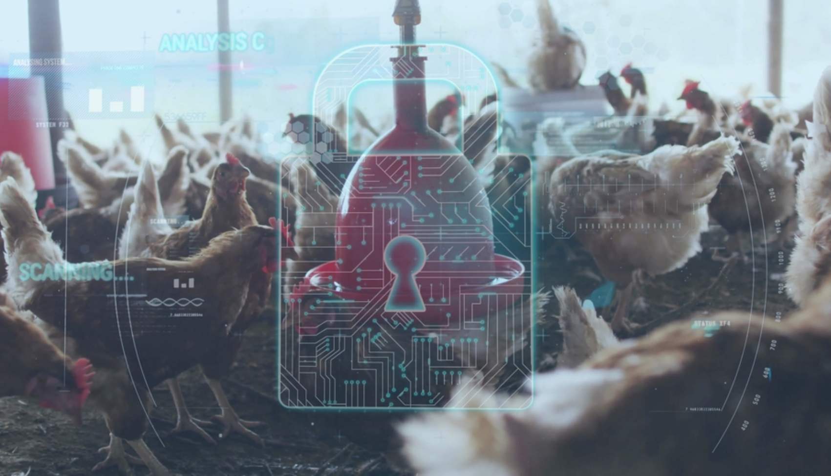 Biosecurity Management Kuwait Breeder Farms Digital Protocols