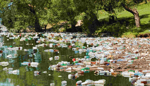 Providing Solutions for Environmental Issues