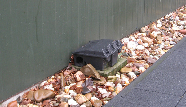 Rodents Control In Poultry Farms