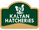 Kalyan Hatcheries